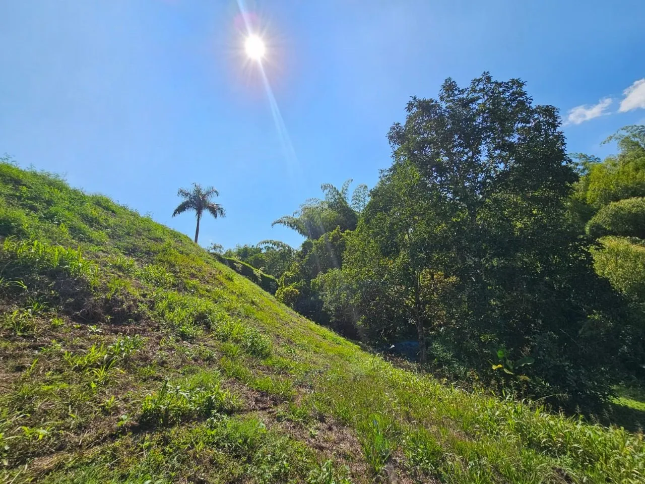 ENCANTADOR LOTE CONJUNTO RESIDENCIAL PORTACHUELO LA TEBAIDA QUINDIO – EJE CAFETERO — foto 12