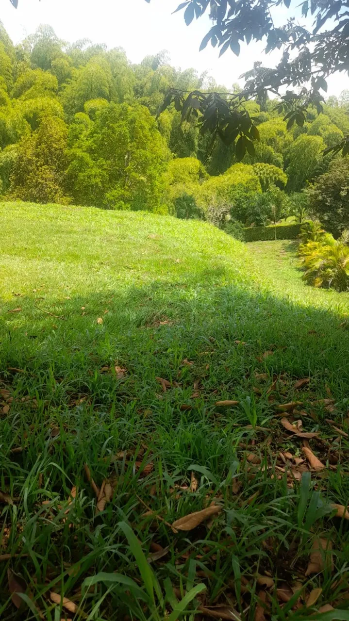 ENCANTADOR LOTE CONJUNTO RESIDENCIAL PORTACHUELO LA TEBAIDA QUINDIO – EJE CAFETERO — foto 14