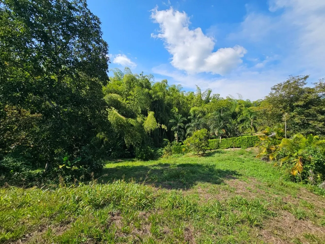 ENCANTADOR LOTE CONJUNTO RESIDENCIAL PORTACHUELO LA TEBAIDA QUINDIO – EJE CAFETERO — foto 13