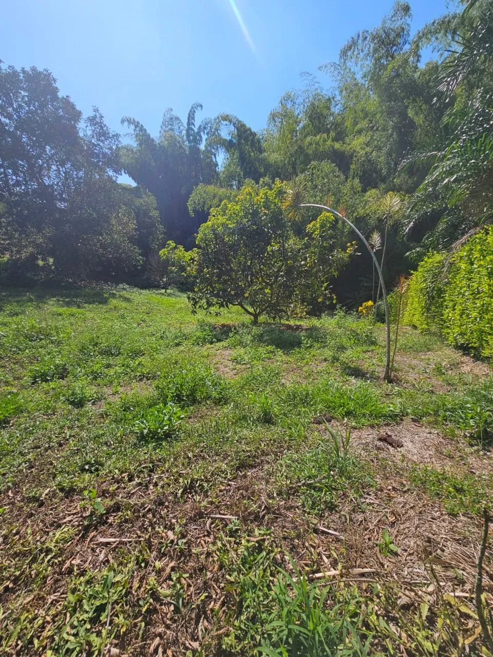 ENCANTADOR LOTE CONJUNTO RESIDENCIAL PORTACHUELO LA TEBAIDA QUINDIO – EJE CAFETERO — foto 4