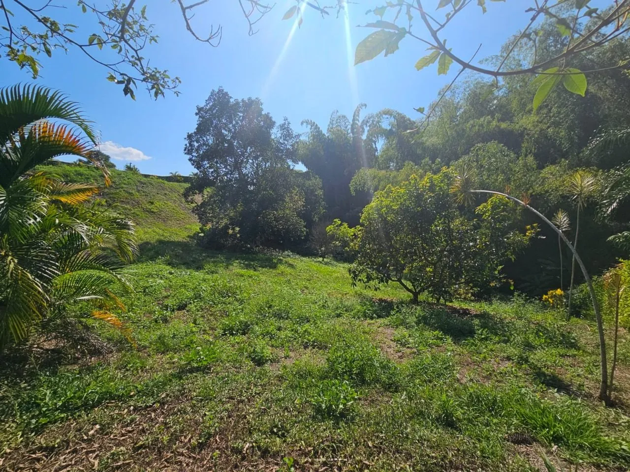 ENCANTADOR LOTE CONJUNTO RESIDENCIAL PORTACHUELO LA TEBAIDA QUINDIO – EJE CAFETERO — foto 6
